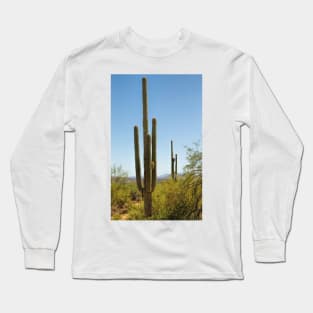 Weavers Needle Long Sleeve T-Shirt